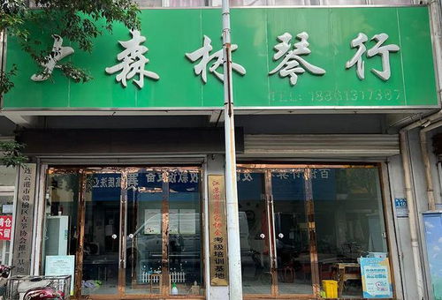 家有孩子的速看 19.9元搶 2節(jié)精品體驗(yàn)課,美術(shù) 鋼琴 古箏任選其一 更有....