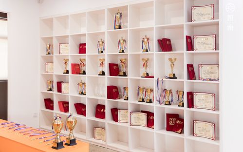 廣西圖南畫室莫秋瑜同學來支招啦