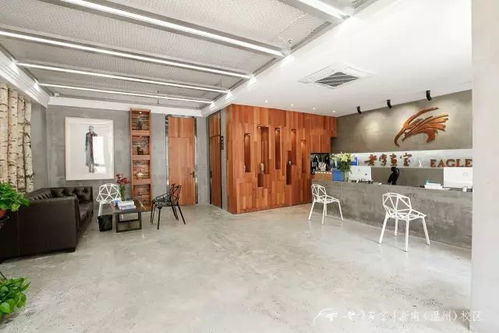 2019屆老鷹畫室預報名招生通道開通啦