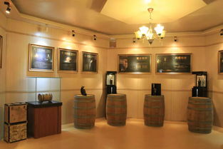 啤酒博物館與醬油廠的工業(yè)之旅 端州工業(yè)旅游新體驗(yàn)